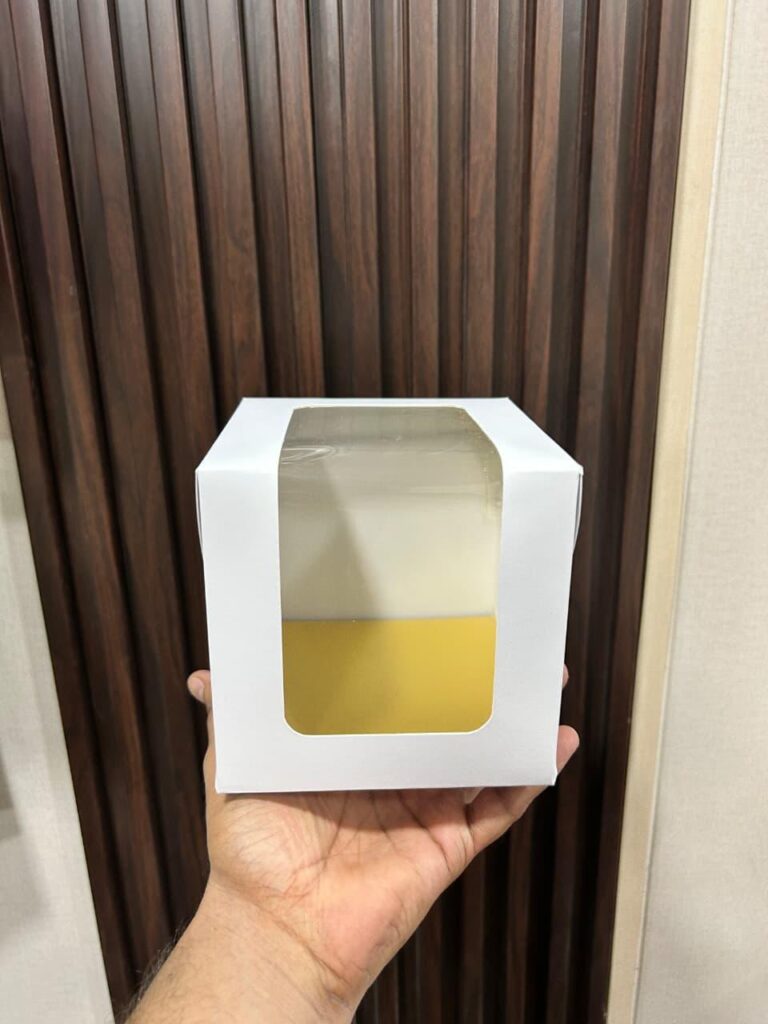 Bento Cake Box